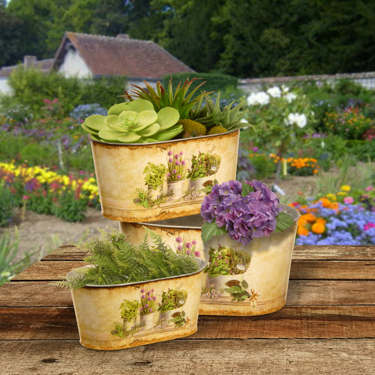 August Grove® 3 Piece Rustic Tin Pot Set & Reviews Wayfair Canada